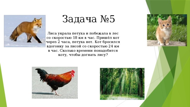 Задача №5 Лиса украла петуха и побежала в лес со скоростью 18 км в час. Пришёл кот через 2 часа, петуха нет. Кот бросился вдогонку за лисой со скоростью 24 км в час. Сколько времени понадобится коту, чтобы догнать лису? 