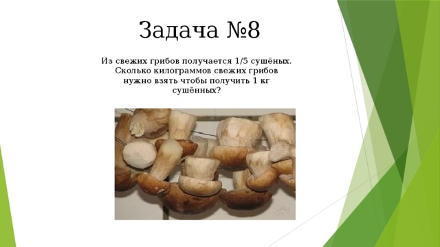 Задача №8 Из свежих грибов получается 1/5 сушёных. Сколько килограммов свежих грибов нужно взять чтобы получить 1 кг сушённых? 