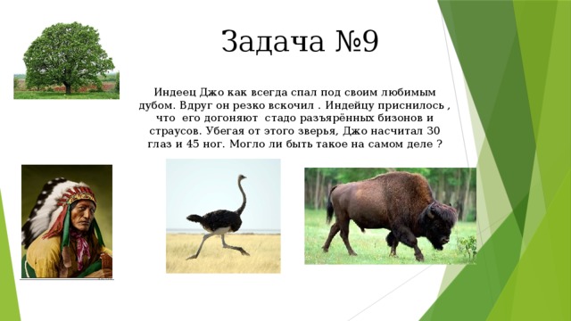 Задача №9 Индеец Джо как всегда спал под своим любимым дубом. Вдруг он резко вскочил . Индейцу приснилось , что его догоняют стадо разъярённых бизонов и страусов. Убегая от этого зверья, Джо насчитал 30 глаз и 45 ног. Могло ли быть такое на самом деле ? 