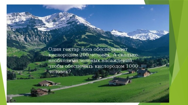 Один гектар леса обеспечивает кислородом 200 человек. А сколько необходимо зеленых насаждений, чтобы обеспечить кислородом 1000 человек? 