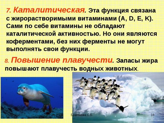 7. Каталитическая . Эта функция связана с жирорастворимыми витаминами (А, D , E , K ). Сами по себе витамины не обладают каталитической активностью. Но они являются коферментами, без них ферменты не могут выполнять свои функции. 8. Повышение плавучести . Запасы жира повышают плавучесть водных животных . Братякова С.Б.  