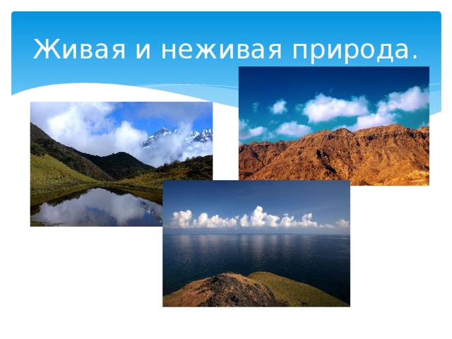 Живая и неживая природа. 