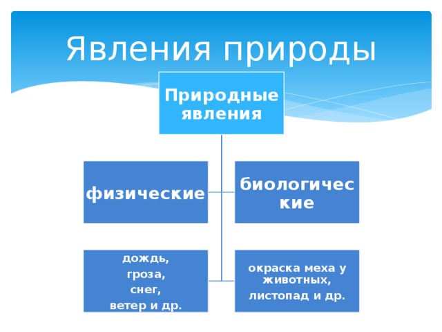 Явления природы Природные явления физические биологические дождь, окраска меха у животных, гроза, листопад и др. снег, ветер и др. 