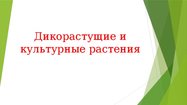 Дикорастущие и культурные растения 