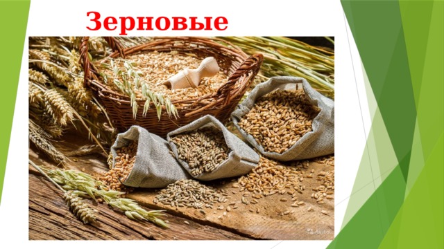Зерновые 