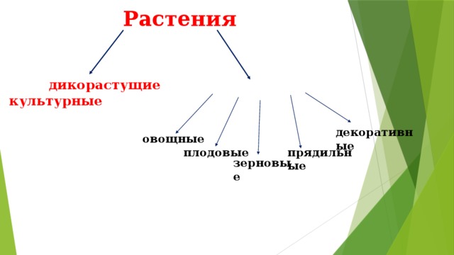 Растения  дикорастущие  культурные декоративные овощные прядильные плодовые зерновые 
