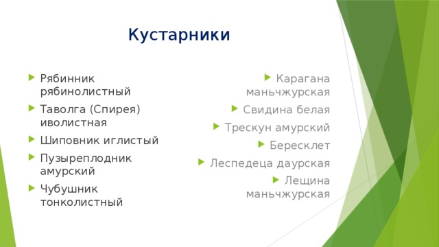 Кустарники Рябинник рябинолистный Таволга (Спирея) иволистная Шиповник иглистый Пузыреплодник амурский Чубушник тонколистный Карагана маньчжурская Свидина белая Трескун амурский Бересклет Леспедеца даурская Лещина маньчжурская 