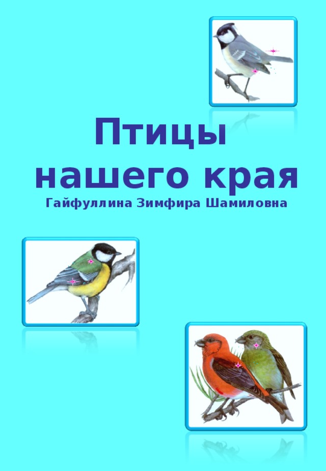 Птицы нашего края Гайфуллина Зимфира Шамиловна 