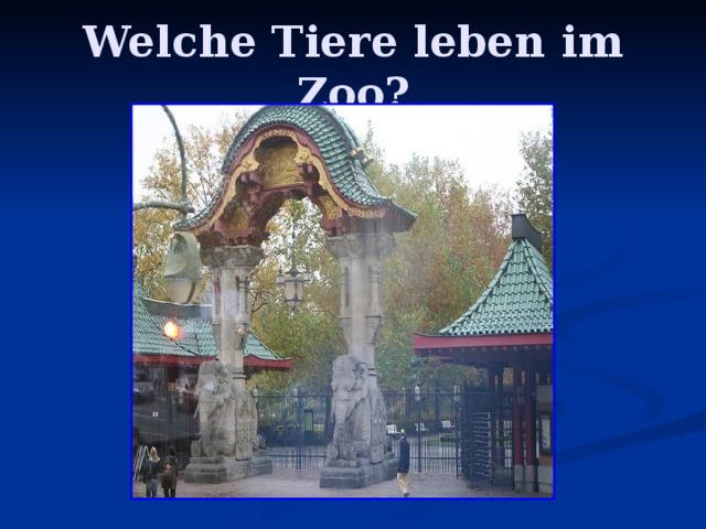 Welche Tiere leben im Zoo? 