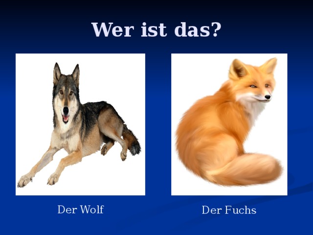 Wer ist das? Der Wolf Der Fuchs 