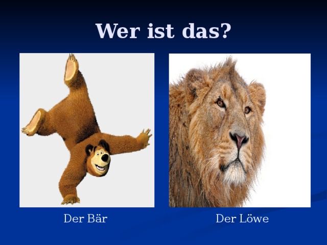 Wer ist das? Der Bär Der Löwe 