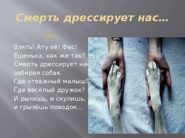 Смерть дрессирует нас… *** Взять! Ату её! Фас! Ёшенька, как же так? Смерть дрессирует нас, забирая собак. Где отважный малыш? Где весёлый дружок? И рычишь, и скулишь, и грызёшь поводок… 
