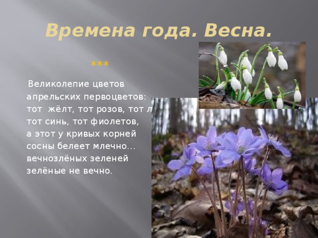 Времена года. Весна.  ***  Великолепие цветов  апрельских первоцветов:  тот жёлт, тот розов, тот лилов,  тот синь, тот фиолетов,  а этот у кривых корней  сосны белеет млечно…  вечнозлёных зеленей  зелёные не вечно. 