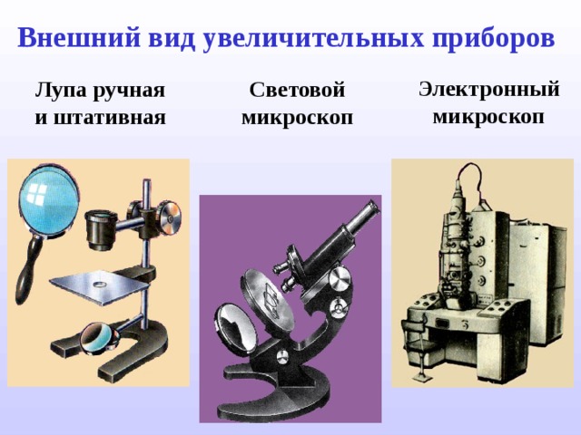 Внешний вид увеличительных приборов Электронный микроскоп Лупа  ручная и штативная Световой микроскоп 