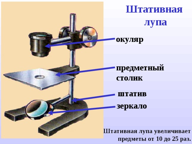 Штативная  лупа окуляр предметный столик штатив зеркало Штативная лупа увеличивает предметы от 10 до 25 раз. 