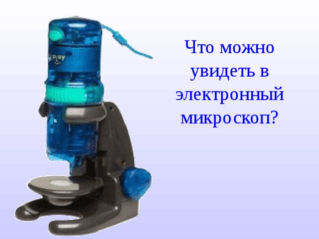 Что можно увидеть в электронный микроскоп? 