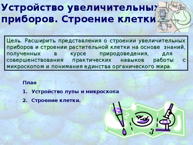 Устройство увеличительных приборов. Строение клетки. Цель. Расширить представления о строении увеличительных приборов и строении растительной клетки на основе знаний, полученных в курсе природоведения, для  совершенствования практических навыков работы с микроскопом и  понимания единства органического мира. План  Устройство лупы и микроскопа  Строение клетки. 
