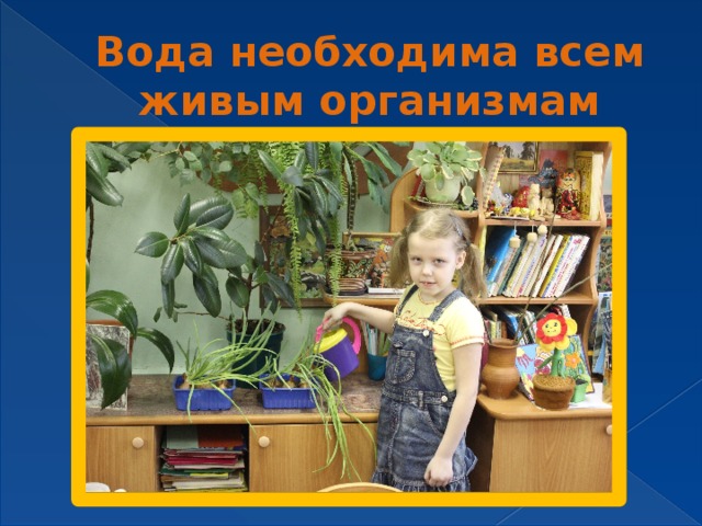 Вода необходима всем живым организмам 