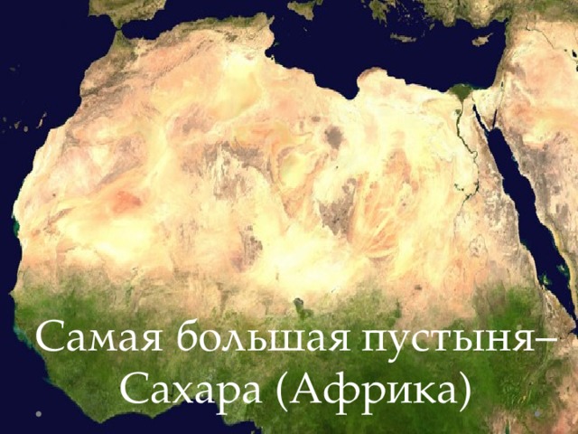 Самая большая пустыня– Сахара (Африка) 