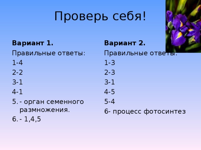Проверь себя! Вариант 1. Вариант 2. Правильные ответы: 1-4 2-2 3-1 4-1 Правильные ответы: 1-3 2-3 3-1 4-5 5-4 6- процесс фотосинтез - орган семенного размножения. - 1,4,5 