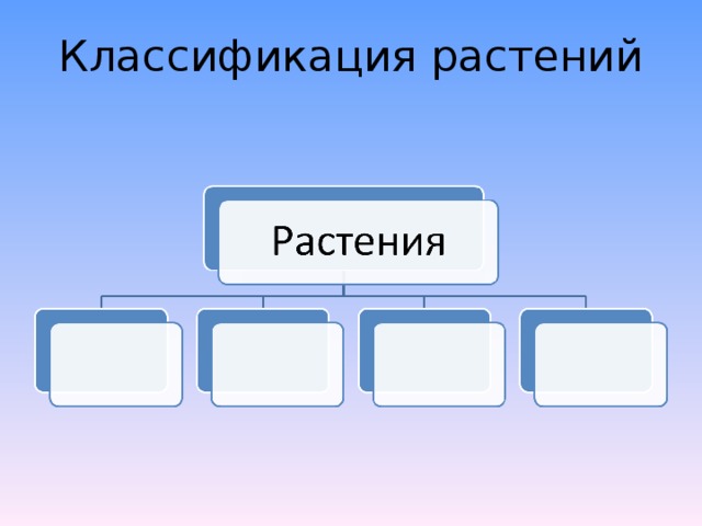 Классификация растений 