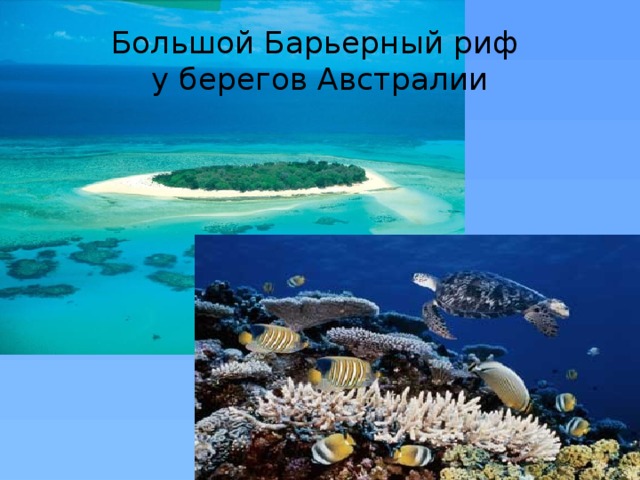 Большой Барьерный риф  у берегов Австралии 