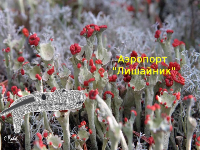 Аэропорт  