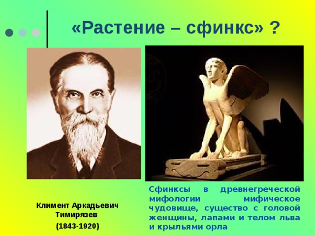 «Растение – сфинкс» ? Сфинксы в древнегреческой мифологии мифическое чудовище, существо с головой женщины, лапами и телом льва и крыльями орла  Климент Аркадьевич Тимирязев (1843-1920)  
