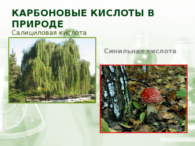 Карбоновые кислоты в природе Салициловая кислота  Синильная кислота 