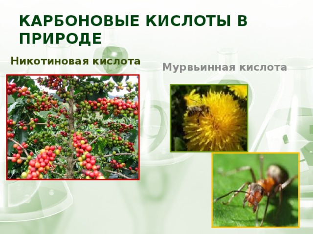 Карбоновые кислоты в природе Никотиновая кислота Мурвьинная кислота 