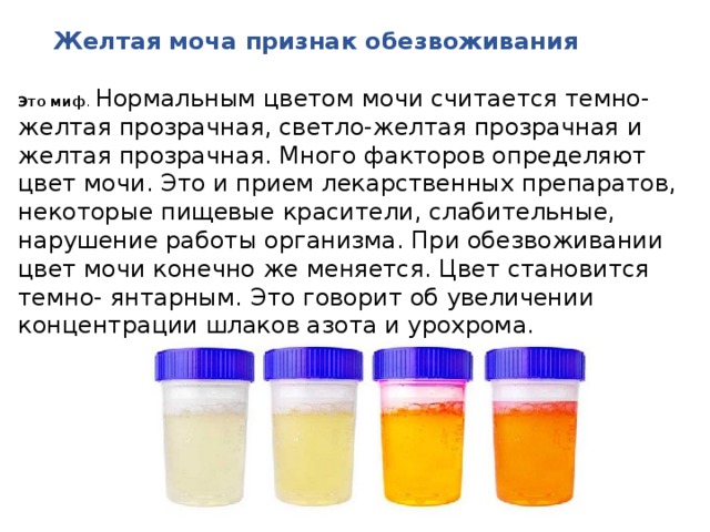 Желтая моча признак обезвоживания Это миф .   Нормальным цветом мочи считается темно-желтая прозрачная, светло-желтая прозрачная и желтая прозрачная. Много факторов определяют цвет мочи. Это и прием лекарственных препаратов, некоторые пищевые красители, слабительные, нарушение работы организма. При обезвоживании цвет мочи конечно же меняется. Цвет становится темно- янтарным. Это говорит об увеличении концентрации шлаков азота и урохрома. 