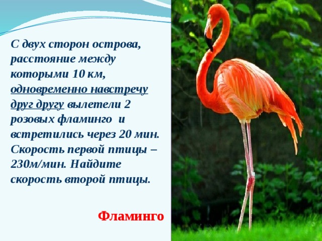  Морские браконьеры 8240 - (2012 + 948): 4              