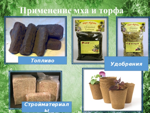 Топливо Удобрения Стройматериалы 