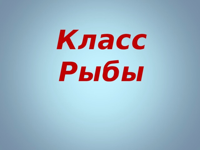 Класс Рыбы 