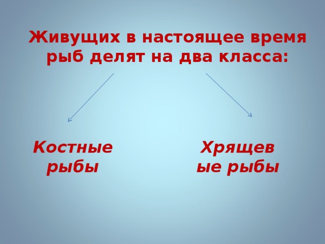 Живущих в настоящее время рыб делят на два класса: Костные рыбы Хрящевые рыбы 