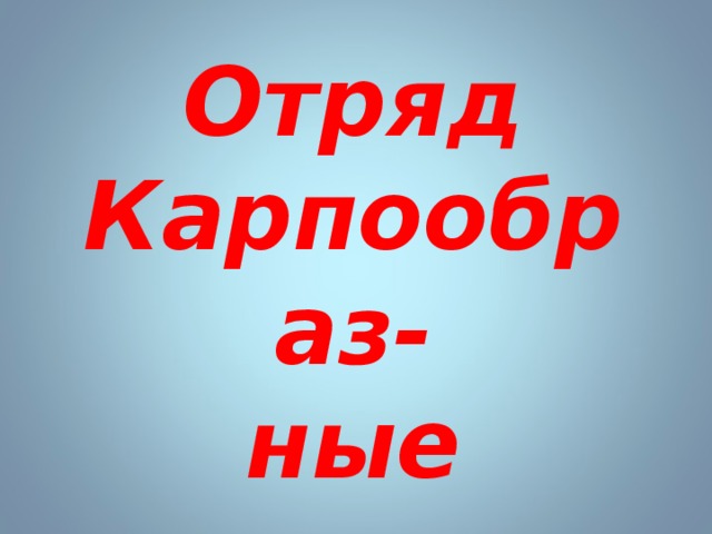 Отряд Карпообраз- ные 