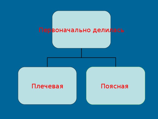 Первоначально делилась Плечевая  Поясная 