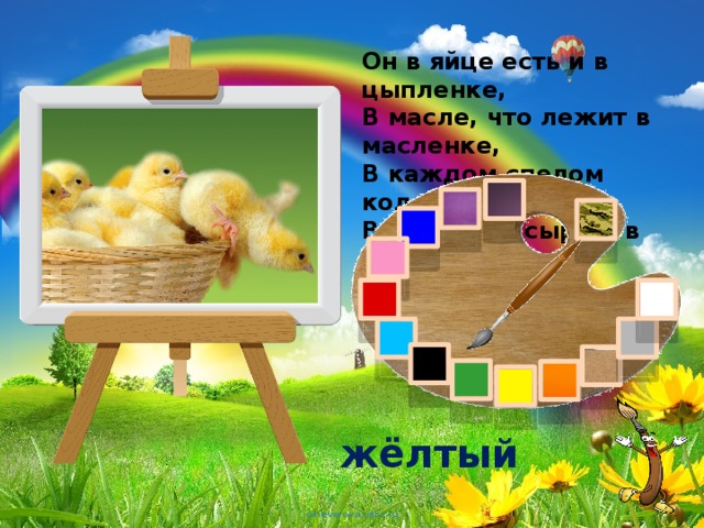 Он в яйце есть и в цыпленке,  В масле, что лежит в масленке,  В каждом спелом колоске,  В солнце, в сыре и в песке. жёлтый 