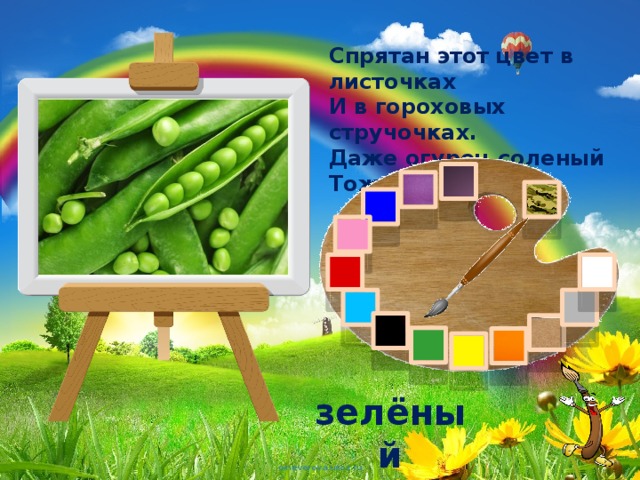 Спрятан этот цвет в листочках  И в гороховых стручочках.  Даже огурец соленый  Тоже летом был...   зелёный 
