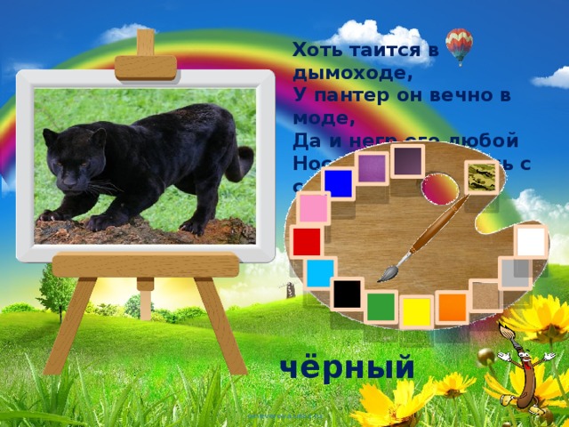 Хоть таится в дымоходе,  У пантер он вечно в моде,  Да и негр его любой  Носит каждый день с собой. чёрный 