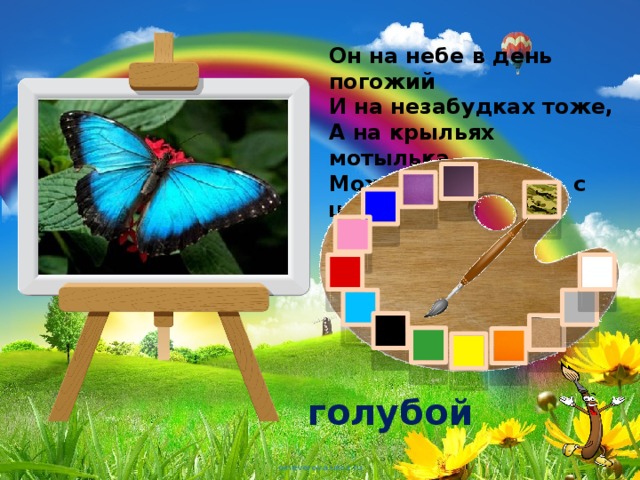 Он на небе в день погожий  И на незабудках тоже,  А на крыльях мотылька,  Может он взлететь с цветка. голубой 