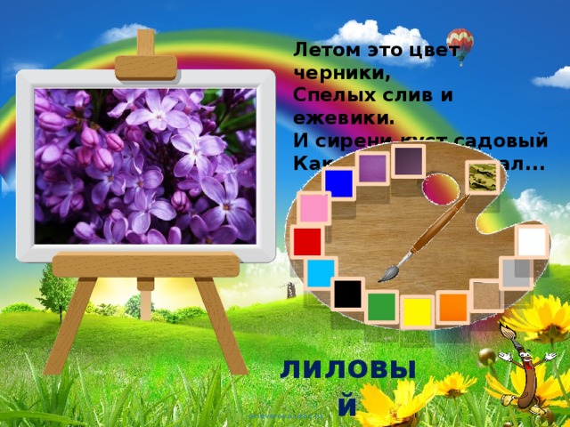 Летом это цвет черники,  Спелых слив и ежевики.  И сирени куст садовый  Как расцвел, то стал... лиловый 