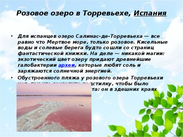 Розовое озеро в Торревьехе,  Испания   Для испанцев озеро Салинас-де-Торревьеха — все равно что Мертвое море, только розовое. Кисельные воды и солевые берега будто сошли со страниц фантастической книжки. На деле — никакой магии: экзотический цвет озеру придают древнейшие галобактерии археи , которые любят соль и заряжаются солнечной энергией. Обустроенного пляжа у розового озера Торревьехи нет, так что захватите подстилку, чтобы было удобнее дожидаться заката: он в здешних краях просто незабываемый. 