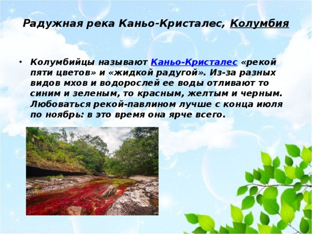 Радужная река Каньо-Кристалес,  Колумбия   Колумбийцы называют Каньо-Кристалес «рекой пяти цветов» и «жидкой радугой». Из-за разных видов мхов и водорослей ее воды отливают то синим и зеленым, то красным, желтым и черным. Любоваться рекой-павлином лучше с конца июля по ноябрь: в это время она ярче всего.  