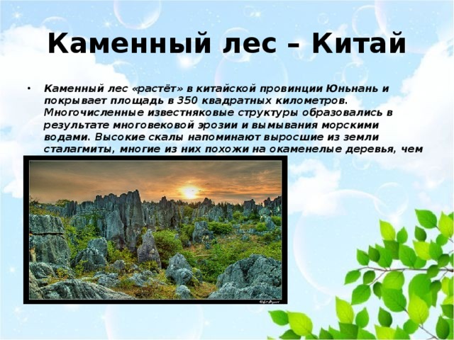 Каменный лес – Китай Каменный лес «растёт» в китайской провинции Юньнань и покрывает площадь в 350 квадратных километров. Многочисленные известняковые структуры образовались в результате многовековой эрозии и вымывания морскими водами. Высокие скалы напоминают выросшие из земли сталагмиты, многие из них похожи на окаменелые деревья, чем и создаётся иллюзия леса из камней. 