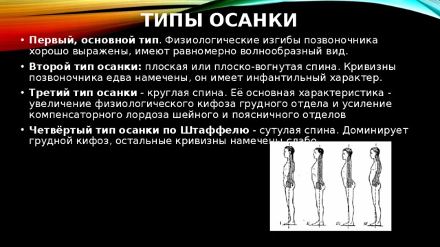 Типы осанки Первый, основной тип . Физиологические изгибы позвоночника хорошо выражены, имеют равномерно волнообразный вид.  Второй тип осанки:  плоская или плоско-вогнутая спина. Кривизны позвоночника едва намечены, он имеет инфантильный характер.  Третий тип осанки  - круглая спина. Её основная характеристика - увеличение физиологического кифоза грудного отдела и усиление компенсаторного лордоза шейного и поясничного отделов Четвёртый тип осанки по Штаффелю  - сутулая спина. Доминирует грудной кифоз, остальные кривизны намечены слабо.  