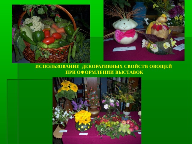 ИСПОЛЬЗОВАНИЕ ДЕКОРАТИВНЫХ СВОЙСТВ ОВОЩЕЙ ПРИ ОФОРМЛЕНИИ ВЫСТАВОК 