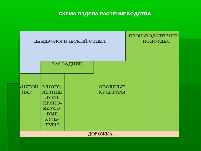 СХЕМА ОТДЕЛА РАСТЕНИЕВОДСТВА 