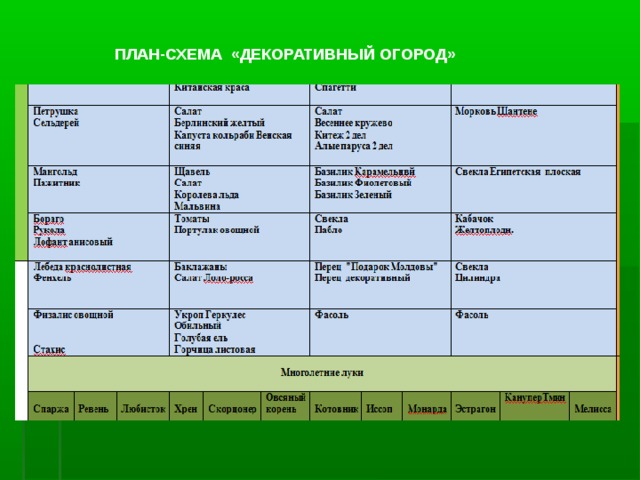 ПЛАН-СХЕМА «ДЕКОРАТИВНЫЙ ОГОРОД» 
