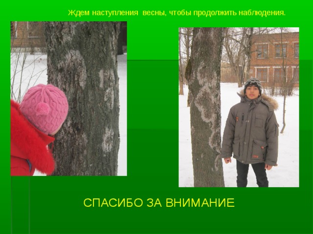 Ждем наступления весны, чтобы продолжить наблюдения. СПАСИБО ЗА ВНИМАНИЕ  